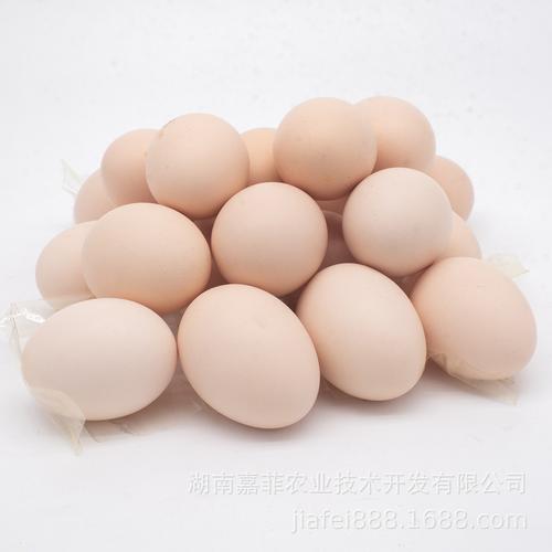 柴鸡蛋60-柴鸡蛋60厂家,品牌,图片,热帖